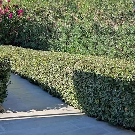 Вилла Sea View Ellada, Just 3km From Линдос